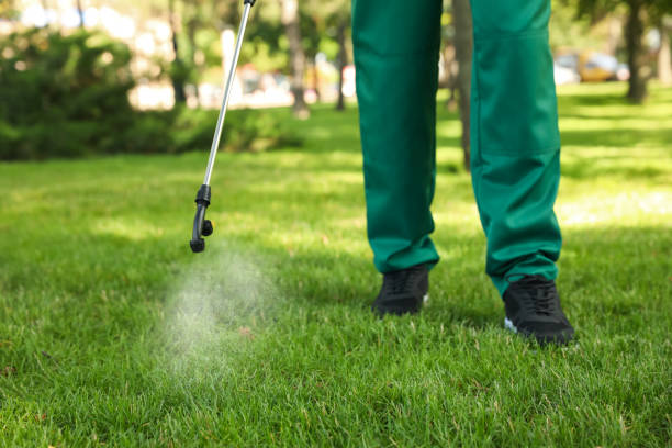 Best Pest Prevention Services  in , DC