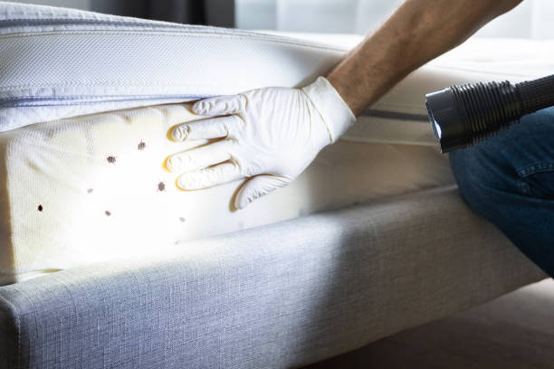 Best Residential Pest Control  in , DC
